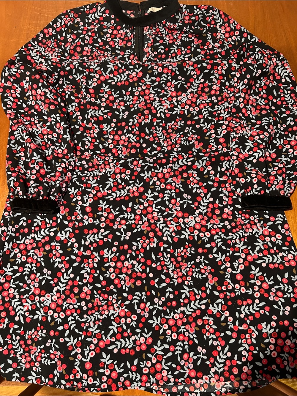 Loft Shift Dress withRed Berries